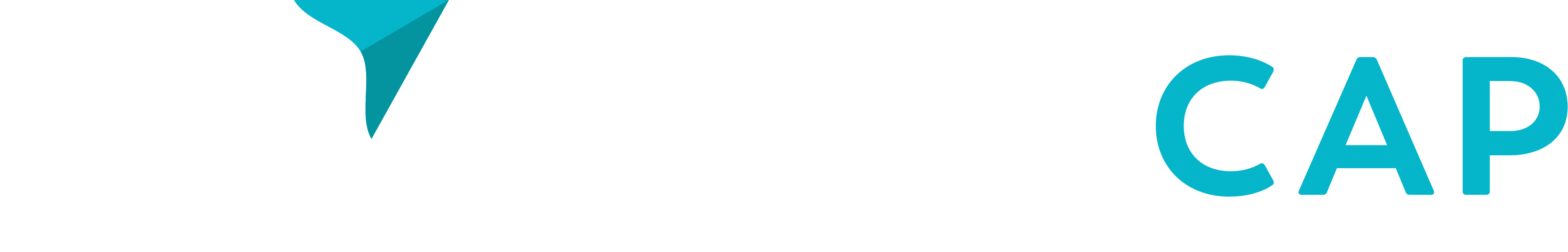 westcap logo white